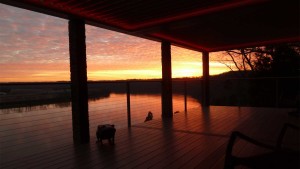 deck railing height, code height for deck railings, cable deck railings